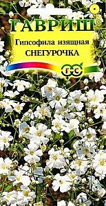 гипсофила